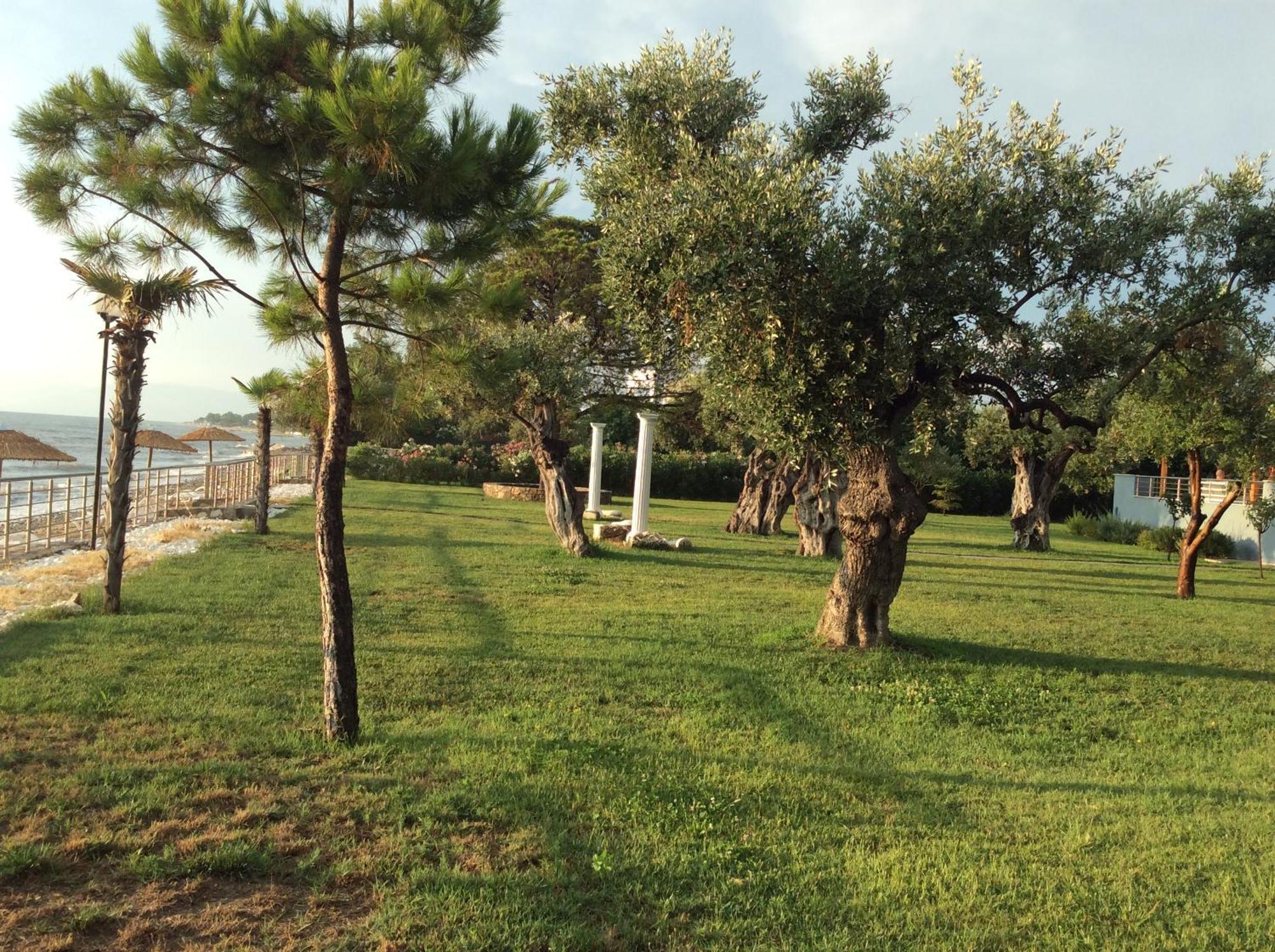 Villa Arhondula Prinos  Exterior photo